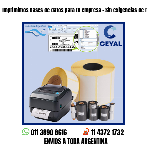 Imprimimos bases de datos para tu empresa – Sin exigencias de mínimos!