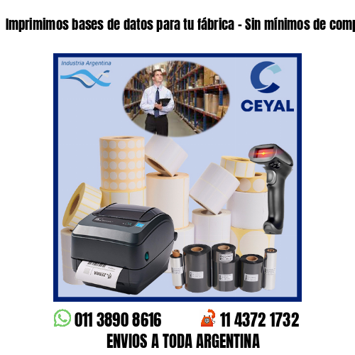 Imprimimos bases de datos para tu fábrica – Sin mínimos de compra!