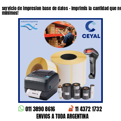servicio de impresion base de datos – Imprimís la cantidad que necesites sin mínimos!