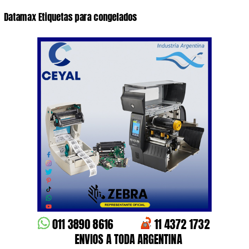 Datamax Etiquetas para congelados