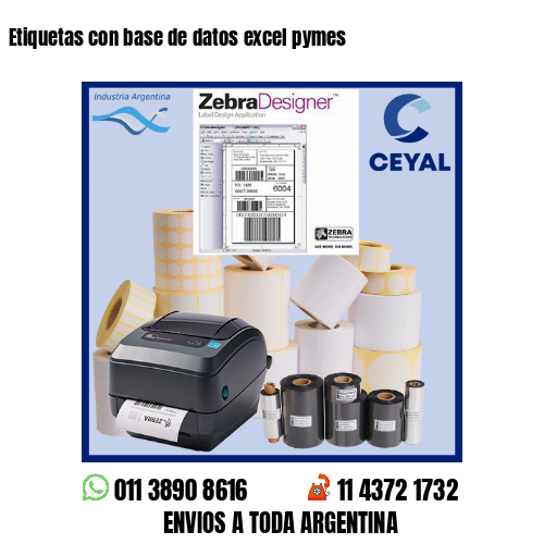 Etiquetas con base de datos excel pymes