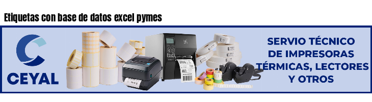 Etiquetas con base de datos excel pymes 