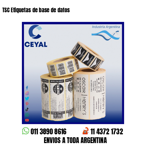 TSC Etiquetas de base de datos