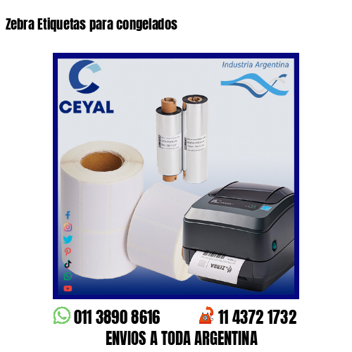 Zebra Etiquetas para congelados