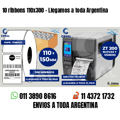 10 ribbons 110x300 - Llegamos a toda Argentina