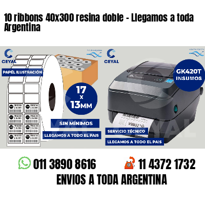 10 ribbons 40x300 resina doble - Llegamos a toda Argentina