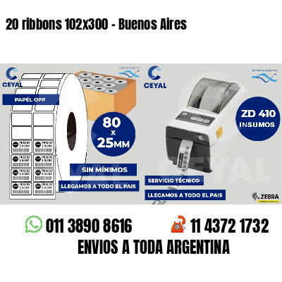 20 ribbons 102x300 - Buenos Aires