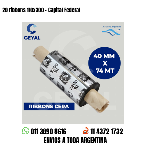 20 ribbons 110×300 – Capital Federal