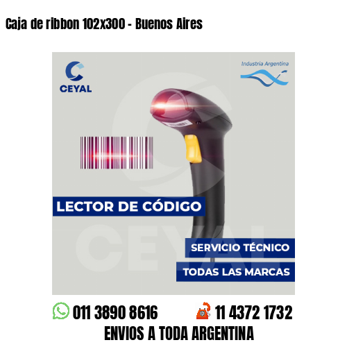 Caja de ribbon 102x300 - Buenos Aires