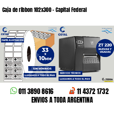 Caja de ribbon 102x300 - Capital Federal