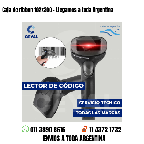 Caja de ribbon 102x300 - Llegamos a toda Argentina