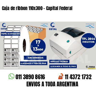 Caja de ribbon 110x300 - Capital Federal