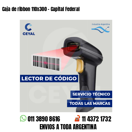 Caja de ribbon 110x300 - Capital Federal