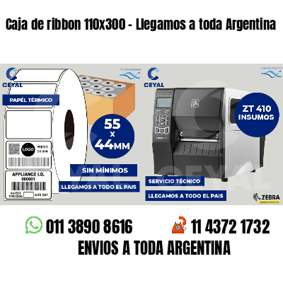 Caja de ribbon 110x300 - Llegamos a toda Argentina