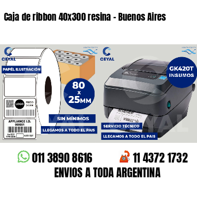 Caja de ribbon 40x300 resina - Buenos Aires