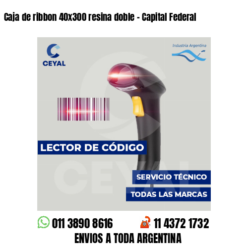 Caja de ribbon 40x300 resina doble - Capital Federal