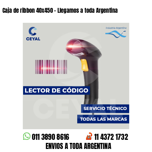 Caja de ribbon 40x450 - Llegamos a toda Argentina