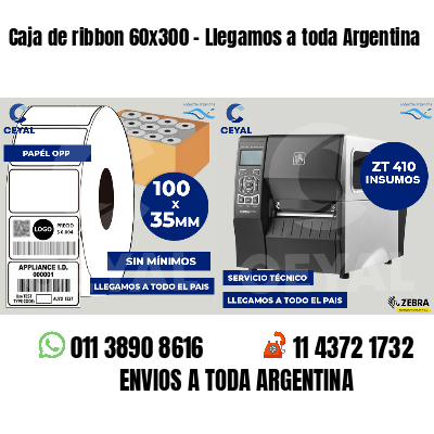 Caja de ribbon 60x300 - Llegamos a toda Argentina