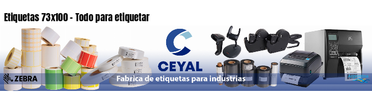 Etiquetas 73x100 - Todo para etiquetar