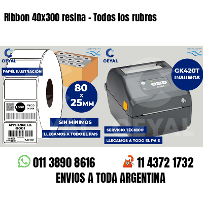 Ribbon 40x300 resina - Todos los rubros