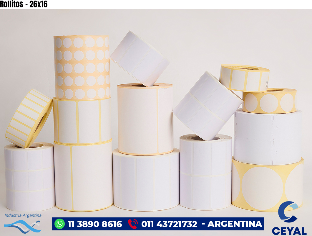 Rollitos - 26x16