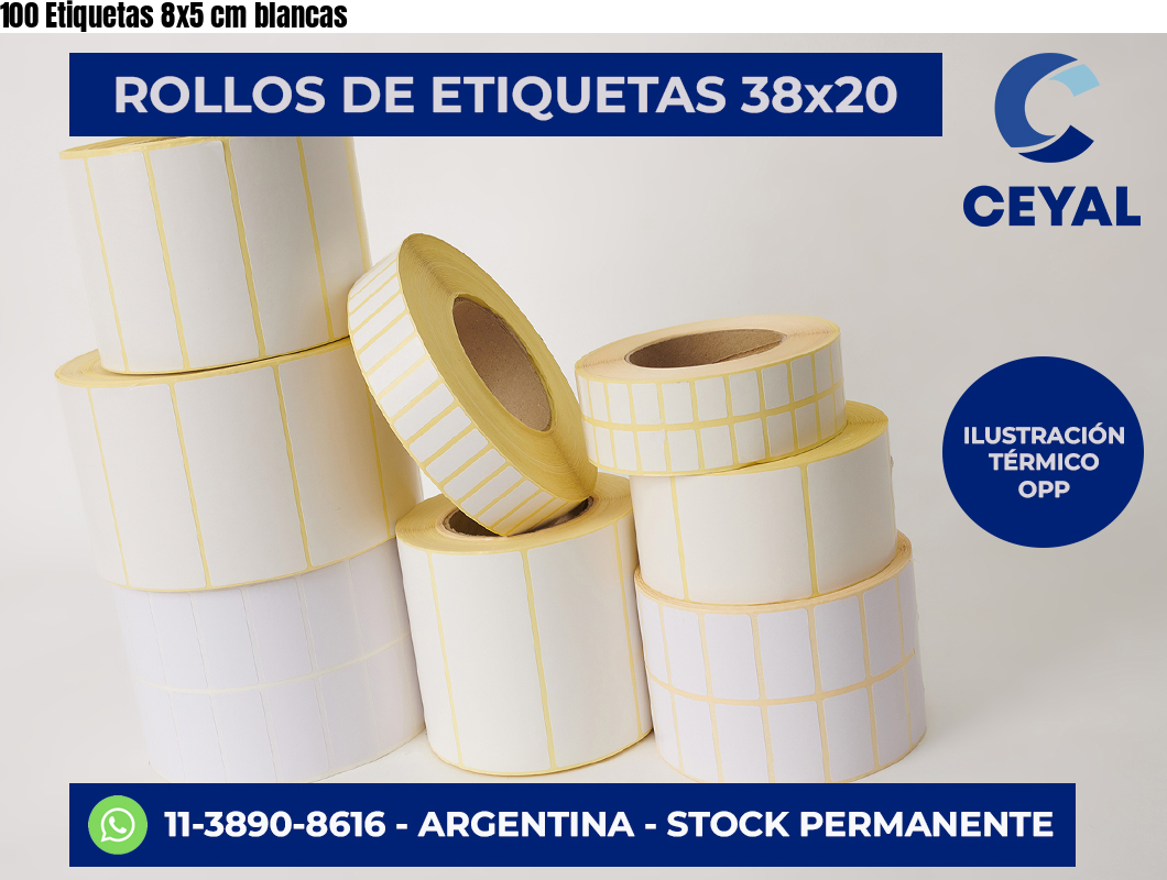 100 Etiquetas 8×5 cm blancas