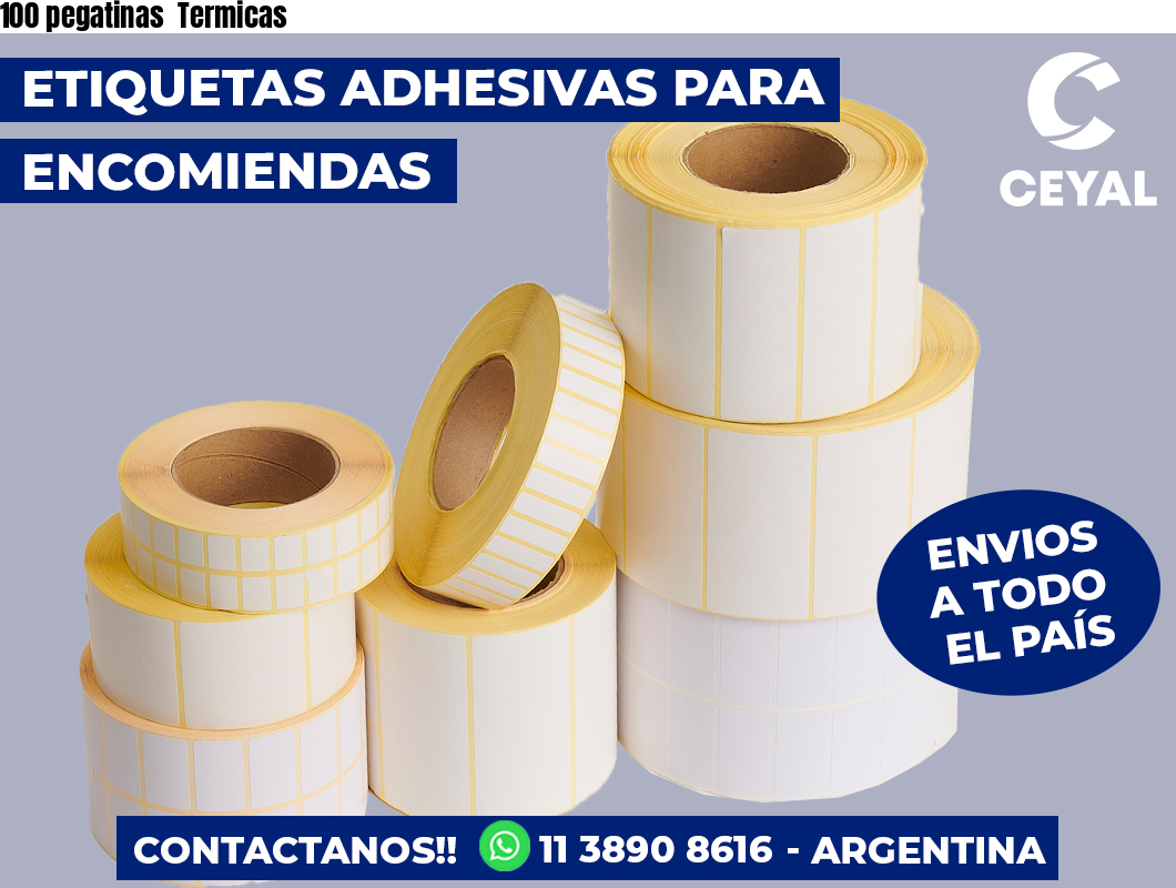 100 pegatinas  Termicas