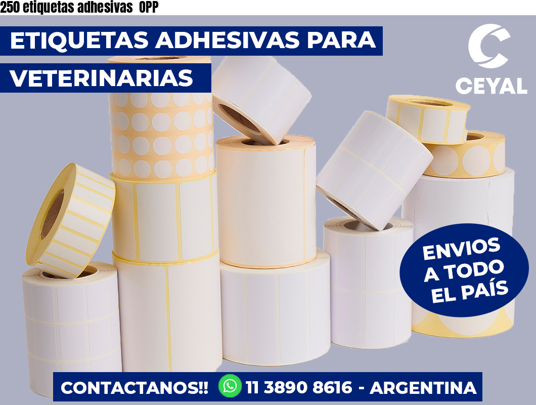 250 etiquetas adhesivas  OPP