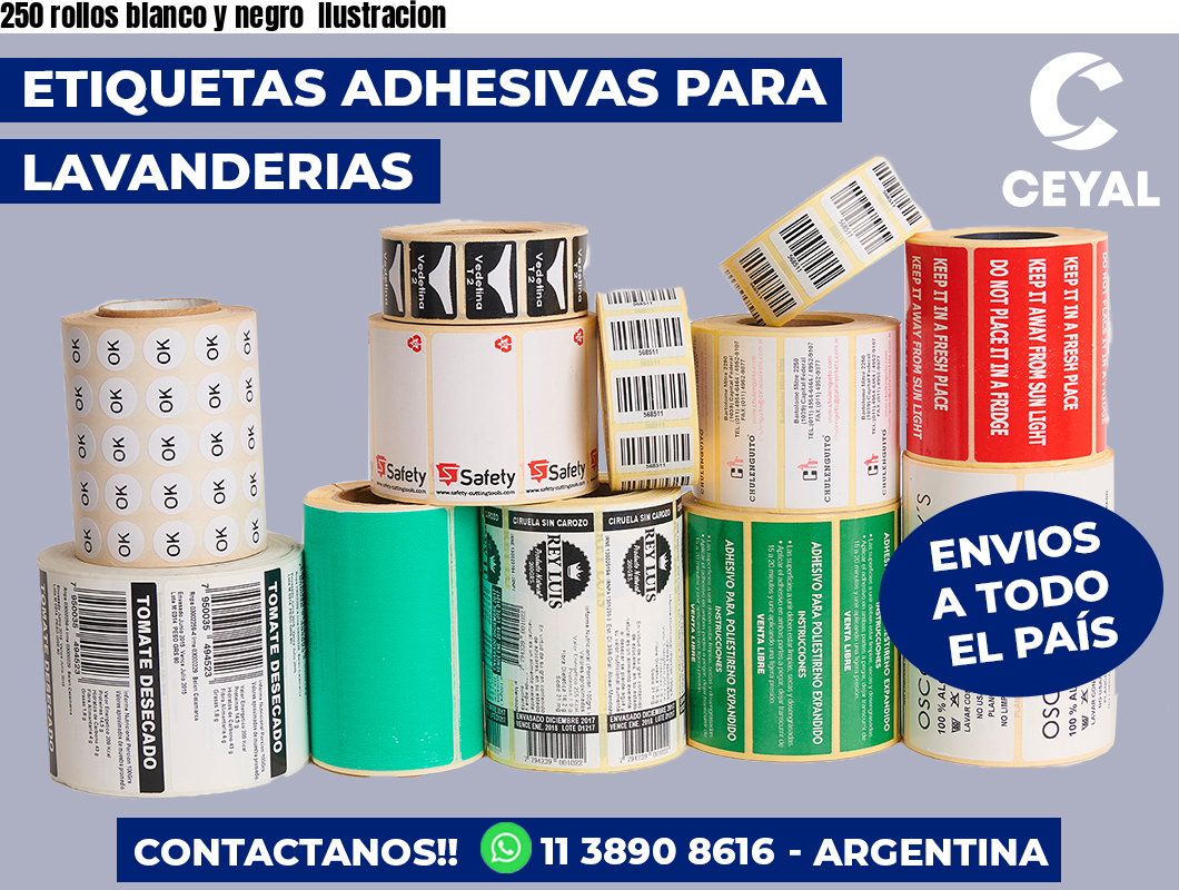 250 rollos blanco y negro  Ilustracion