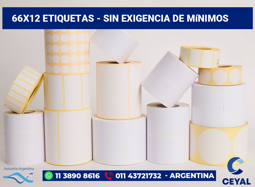 66×12 Etiquetas