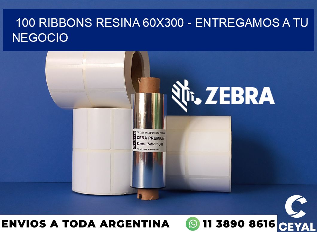 100 Ribbons resina 60x300 - entregamos a tu negocio