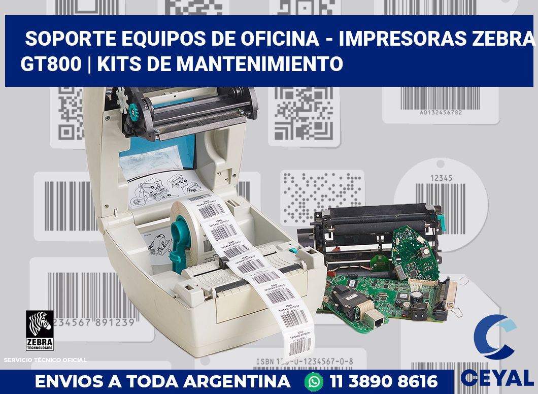 Soporte equipos de oficina - Impresoras Zebra GT800 | Kits de mantenimiento