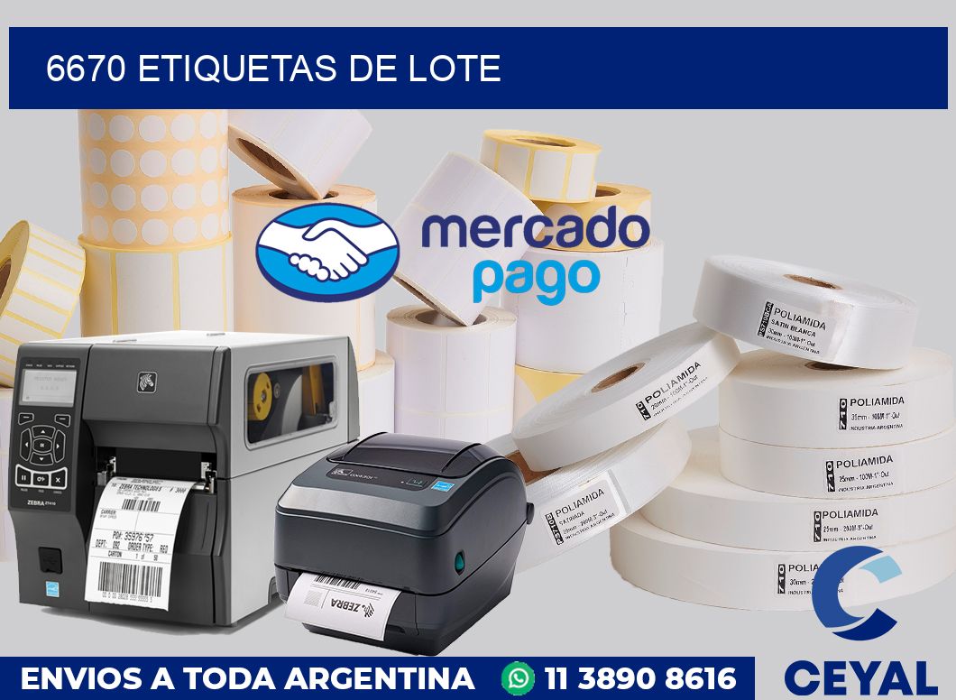 6670 Etiquetas de lote