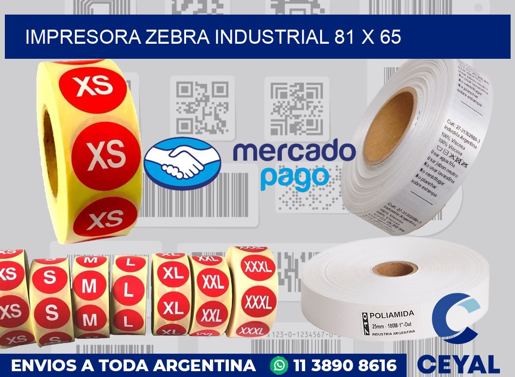 Impresora Zebra industrial 81 x 65