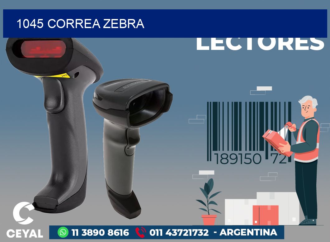 1045 CORREA ZEBRA