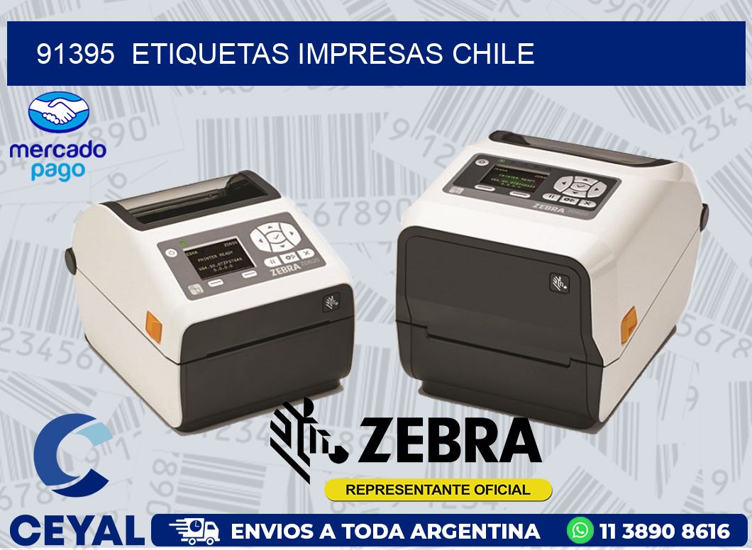 91395  ETIQUETAS IMPRESAS CHILE