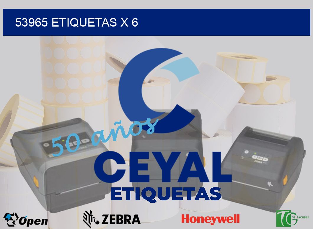 53965 Etiquetas x 6