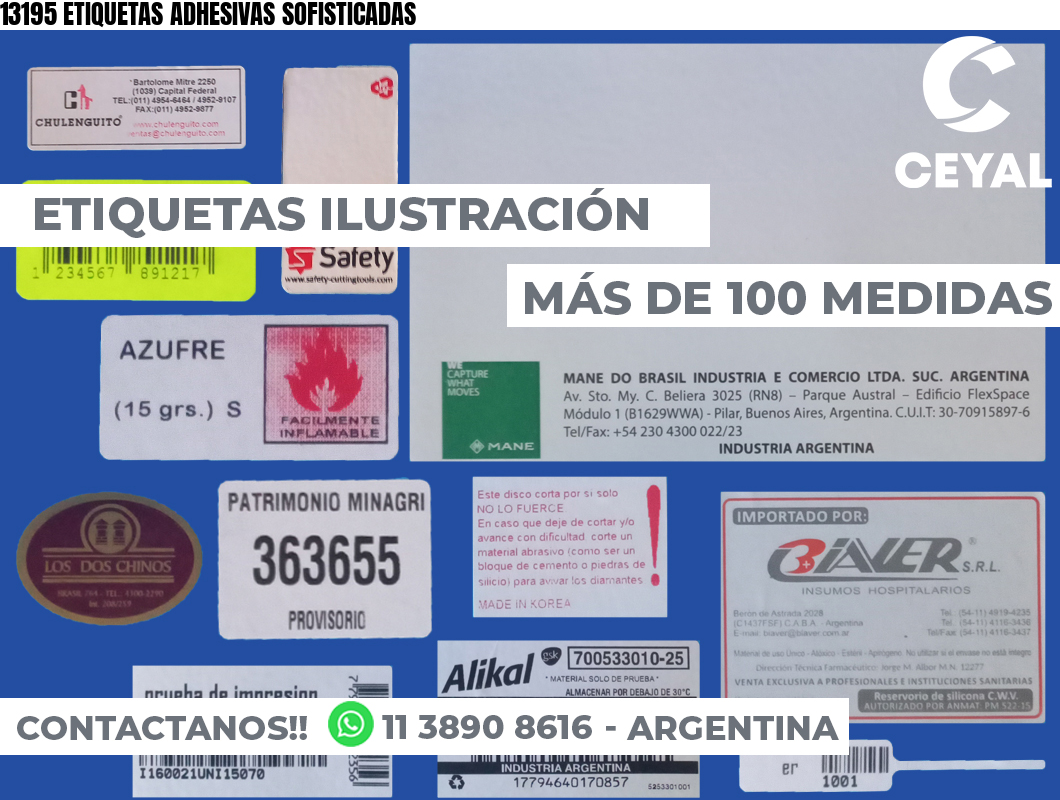 13195 ETIQUETAS ADHESIVAS SOFISTICADAS