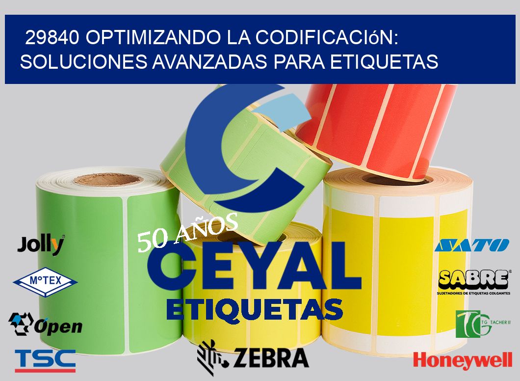 29840 Optimizando la Codificación: Soluciones Avanzadas para Etiquetas