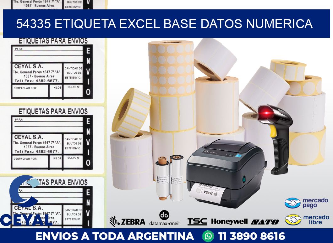 54335 etiqueta excel base datos numerica