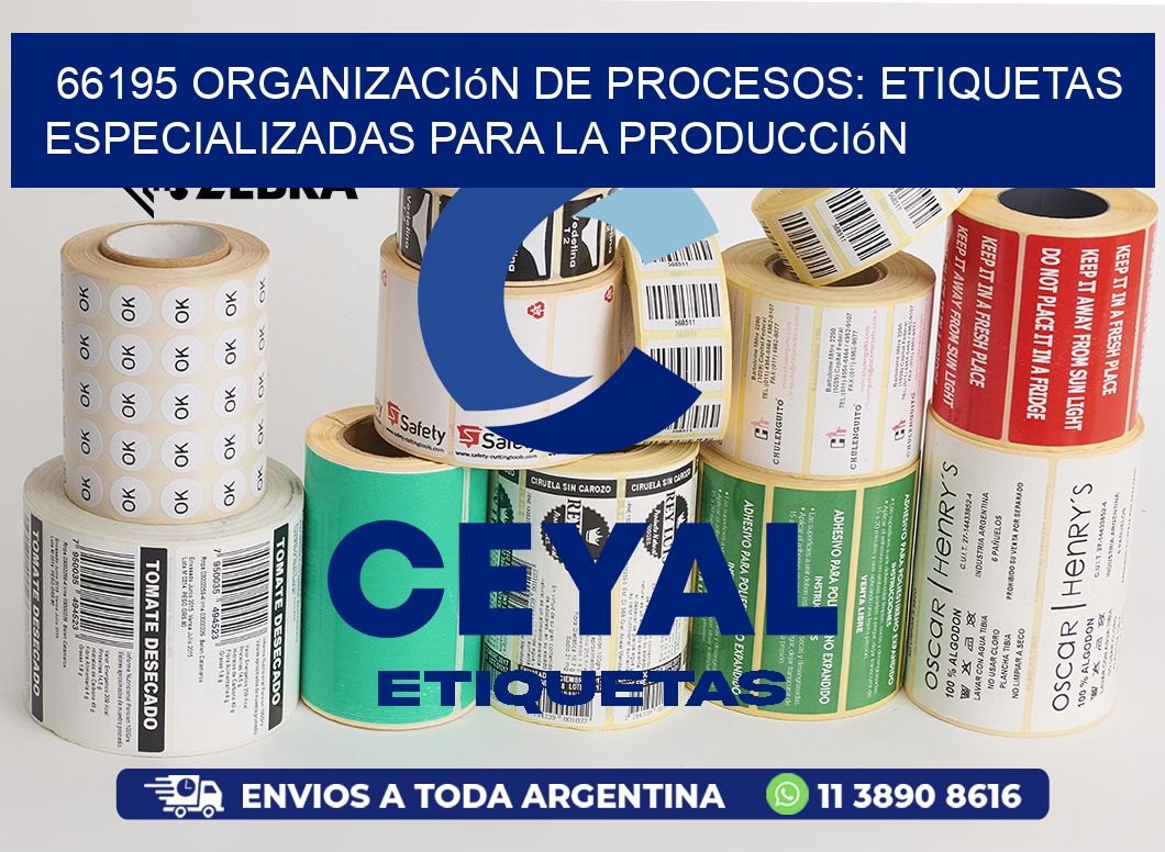 66195 Organización de Procesos: Etiquetas Especializadas para la Producción