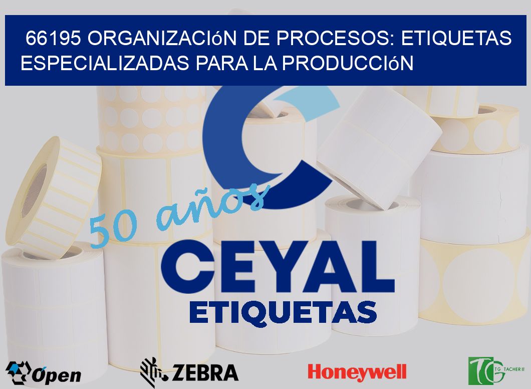 66195 Organización de Procesos: Etiquetas Especializadas para la Producción