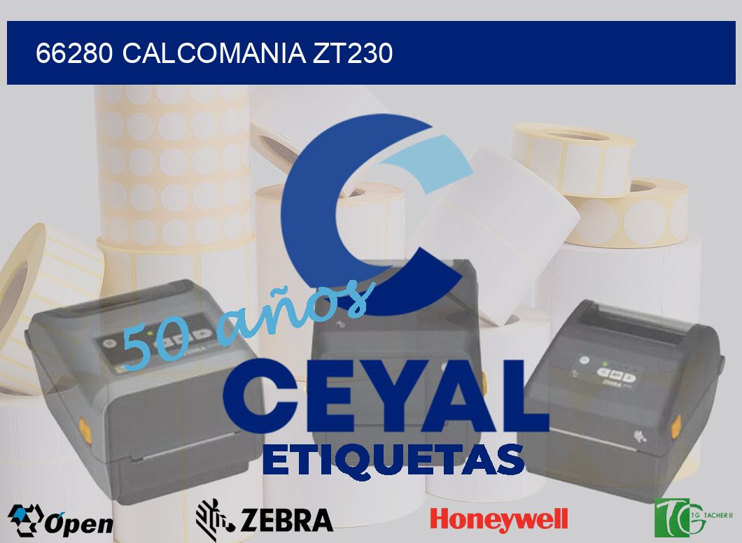 66280 CALCOMANIA ZT230