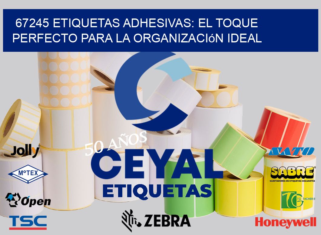 67245 Etiquetas Adhesivas: El Toque Perfecto para la Organización Ideal