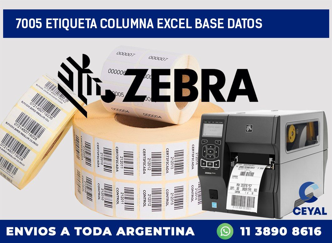 7005 etiqueta columna excel base datos