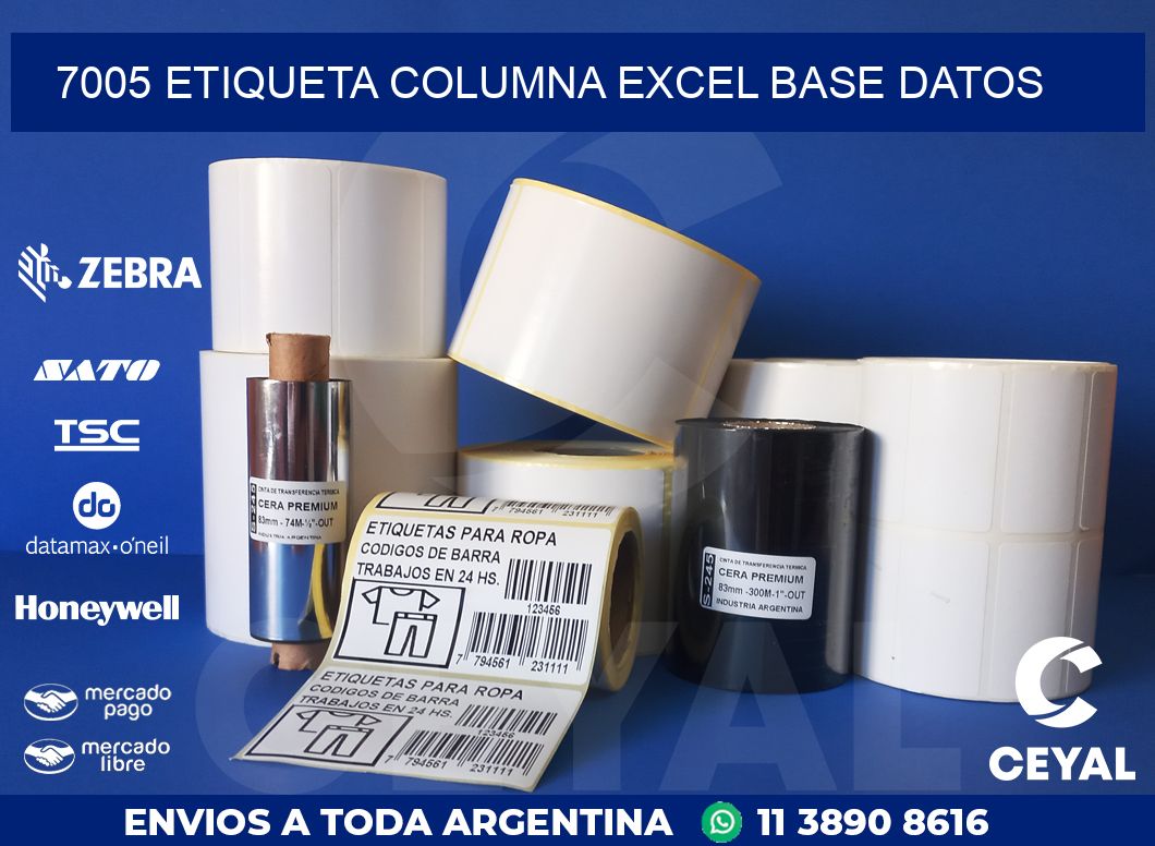 7005 etiqueta columna excel base datos