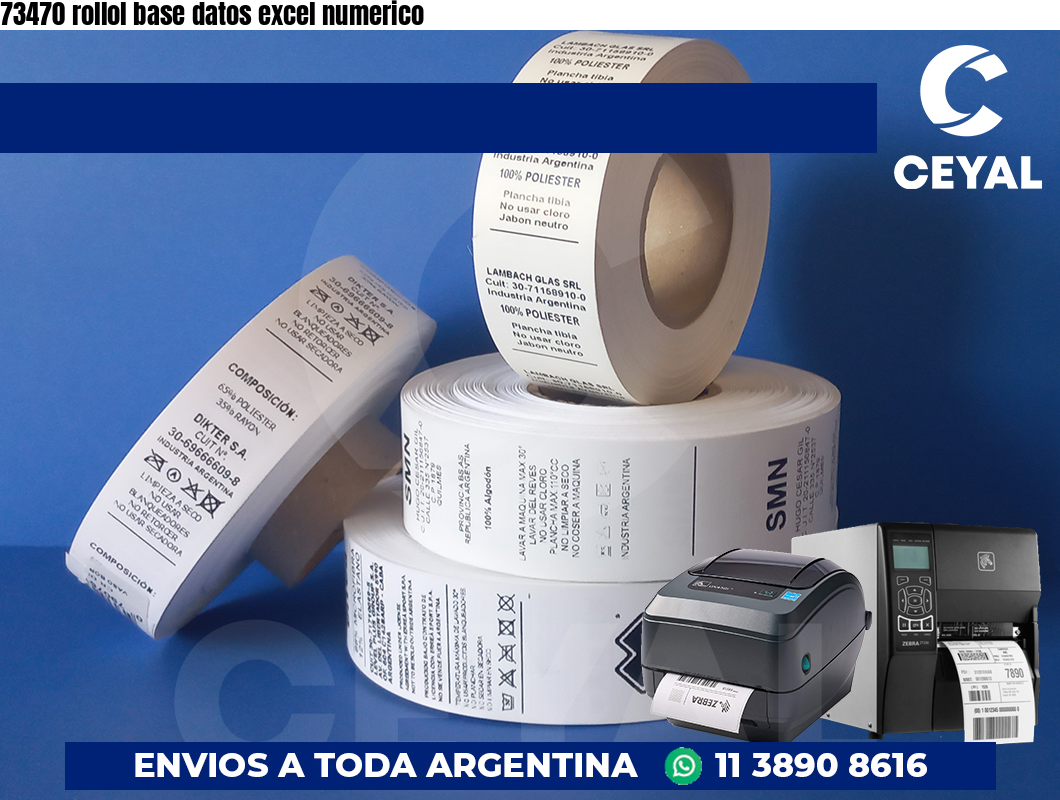 73470 rollol base datos excel numerico