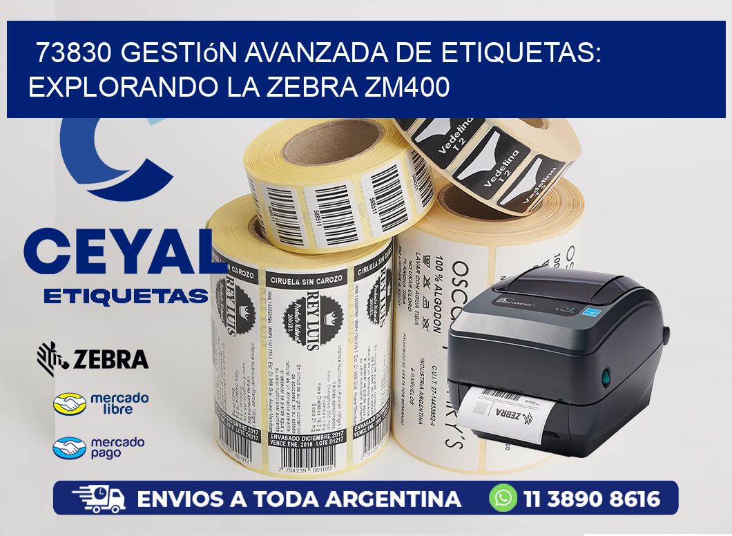 73830 Gestión Avanzada de Etiquetas: Explorando la Zebra ZM400
