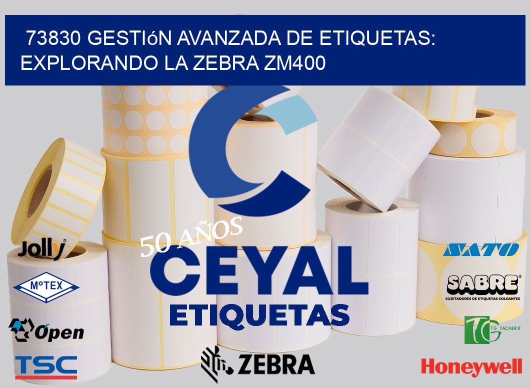 73830 Gestión Avanzada de Etiquetas: Explorando la Zebra ZM400