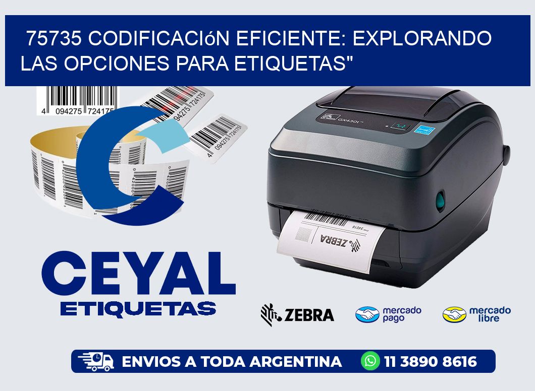 75735 Codificación Eficiente: Explorando las Opciones para Etiquetas